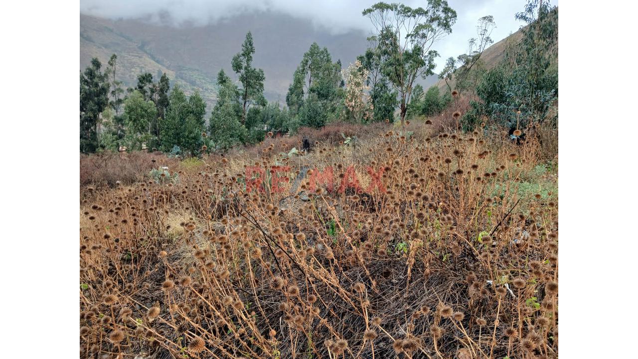 🌿 Amplio Terreno En Venta En Rumira 🌿 - 7