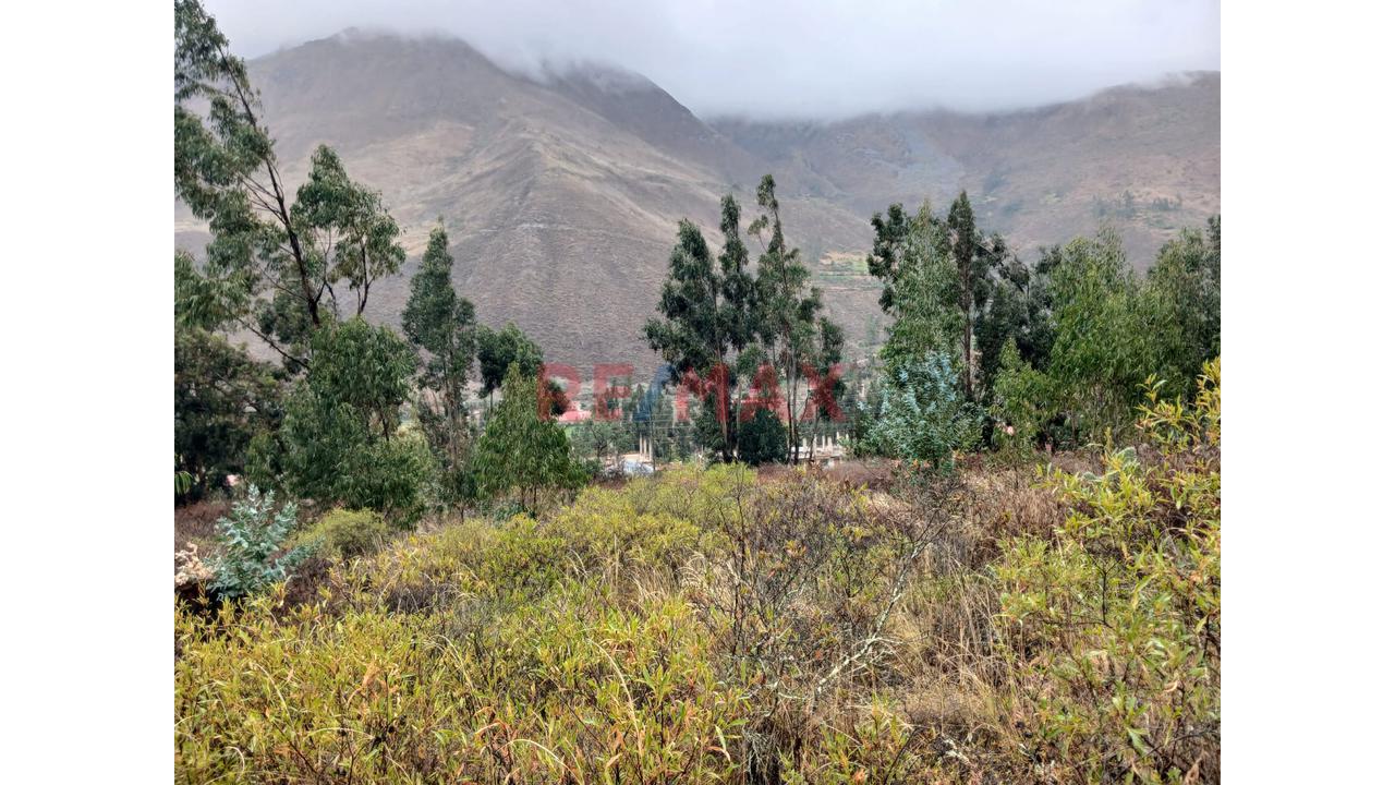 🌿 Amplio Terreno En Venta En Rumira 🌿 - 2