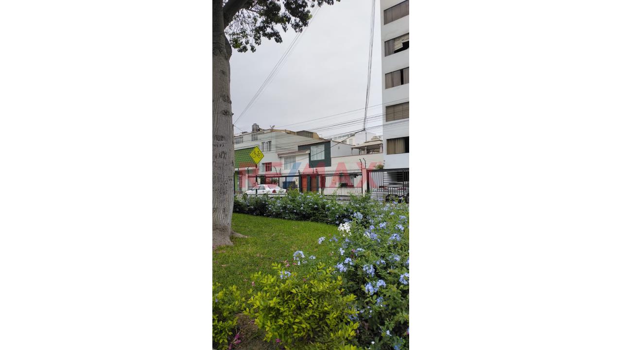 Casa En Venta Frente A Parque En Magdalena – 337 M² A Pasos De Javier Prado - 2
