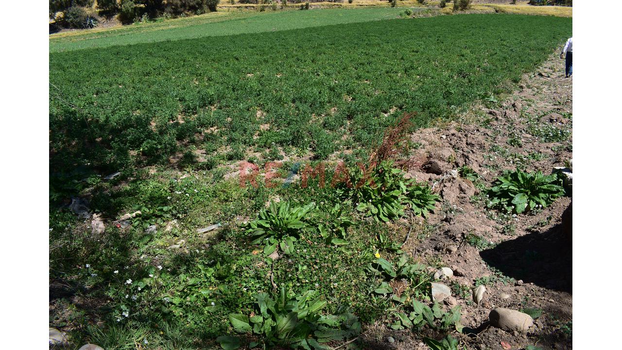 🌟 ¡Oportunidad De Inversión En El Corredor De Mayor Crecimiento De Huancayo! 🌟 - 7