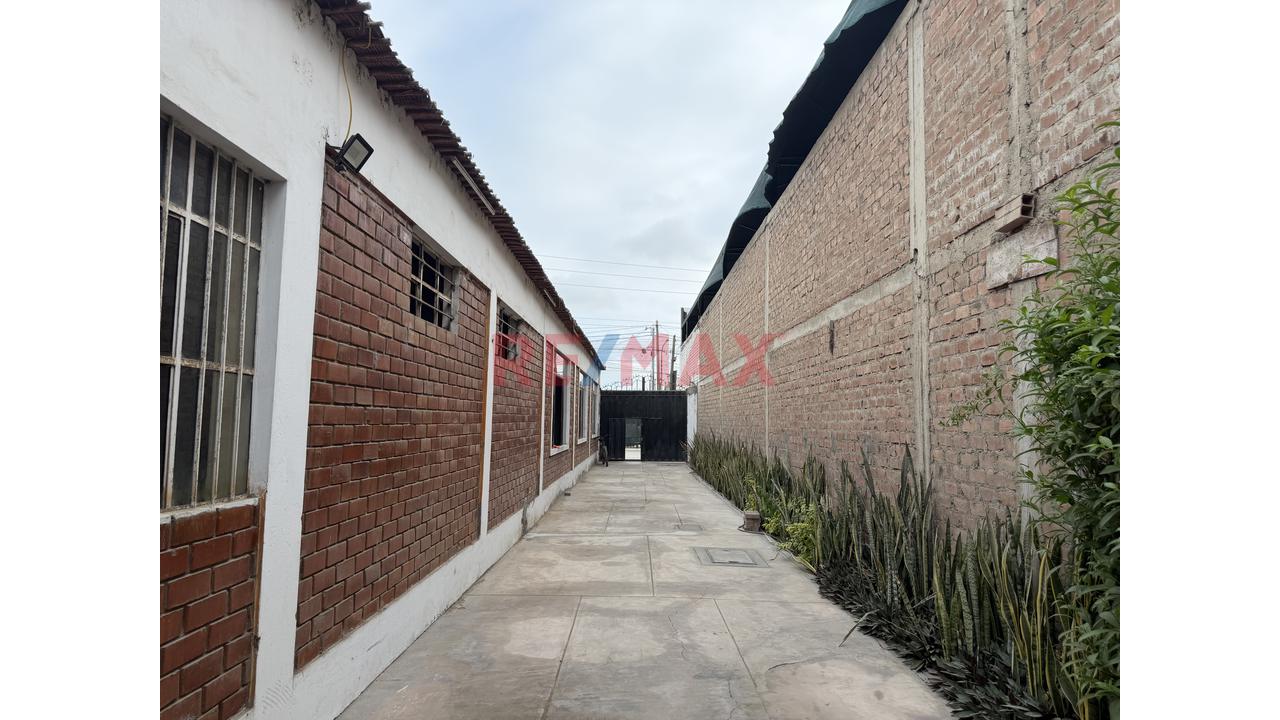 Se Alquila Inmueble Versátil, Con Amplio Jardín Frente A La Panamericana Sur - 2