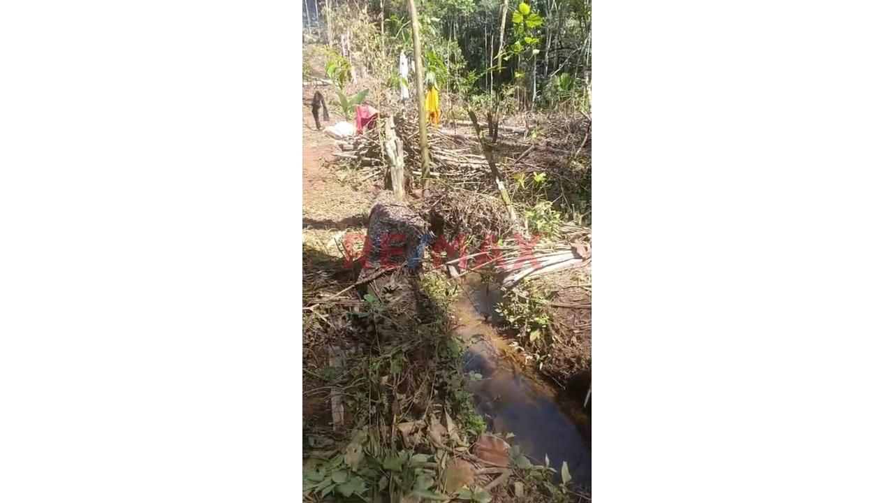 🌿 ¡Gran Oportunidad De Inversión Agrícola En Aucayacu! 🌿 - 6