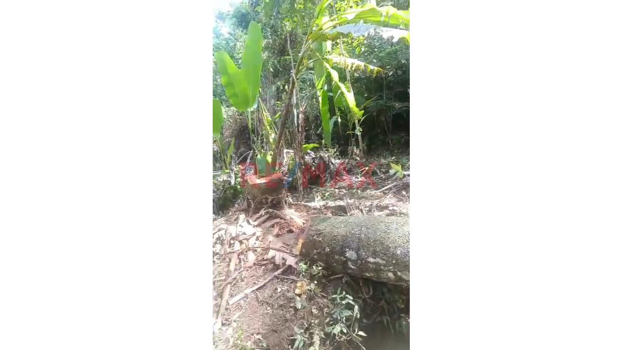 🌿 ¡Gran Oportunidad De Inversión Agrícola En Aucayacu! 🌿 - 2