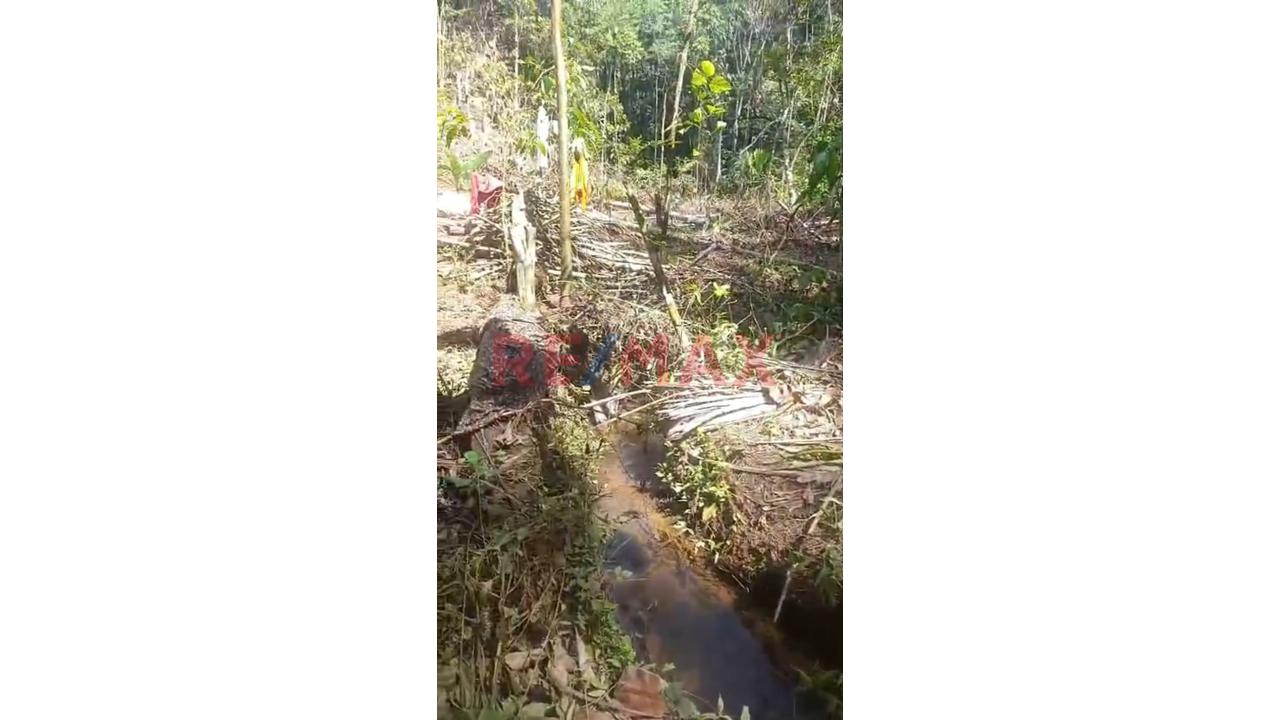 🌿 ¡Gran Oportunidad De Inversión Agrícola En Aucayacu! 🌿 - 3