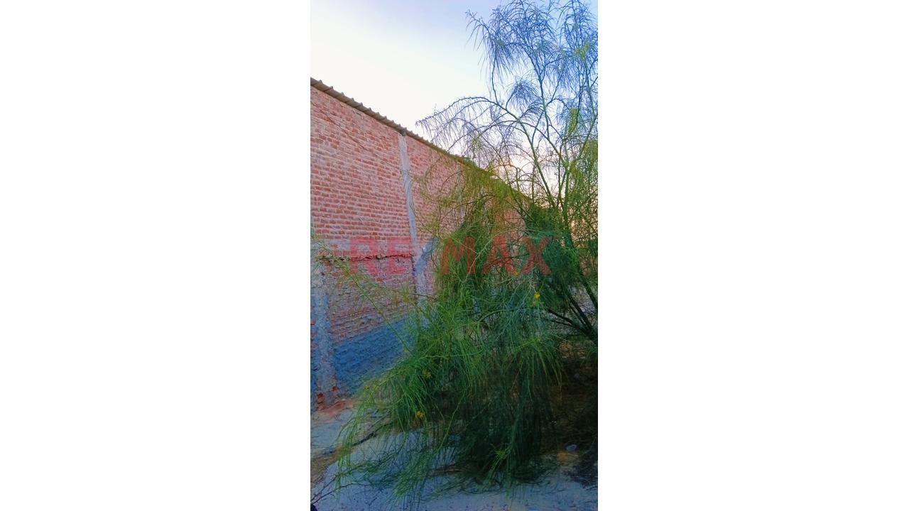 Venta De Terreno En Sechura - 5