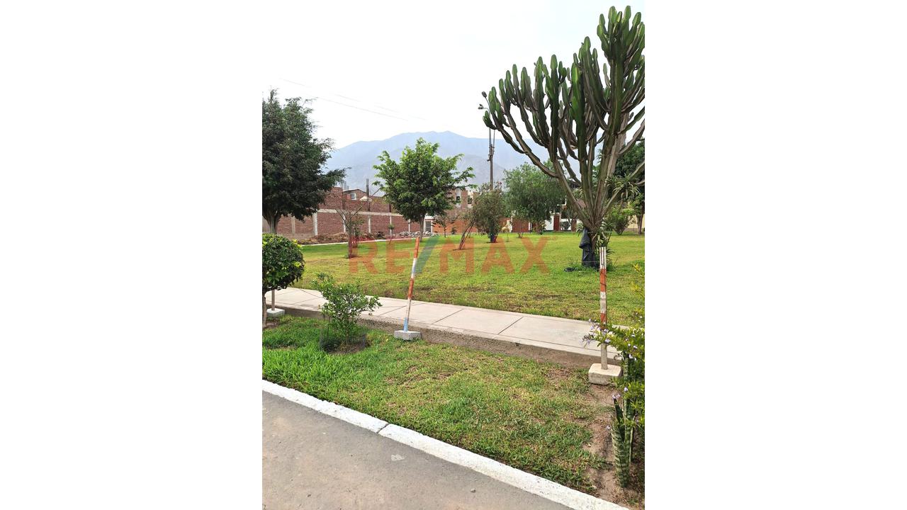 🔥 ¡Invierte O Construye En Huampaní: Excelente Terreno Independizado! 🔥 - 13
