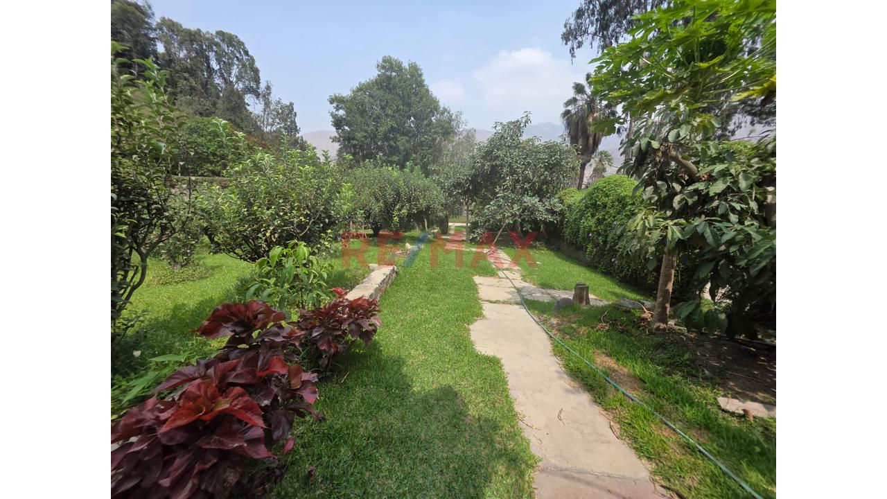 Venta Casa De Campo En Chosica (Lurigancho) — foto 12