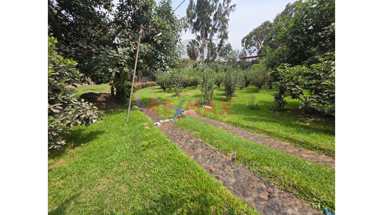 Alquiler En Chosica – 5,200 M² Para Desarrollo Comercial O Recreativo - 4