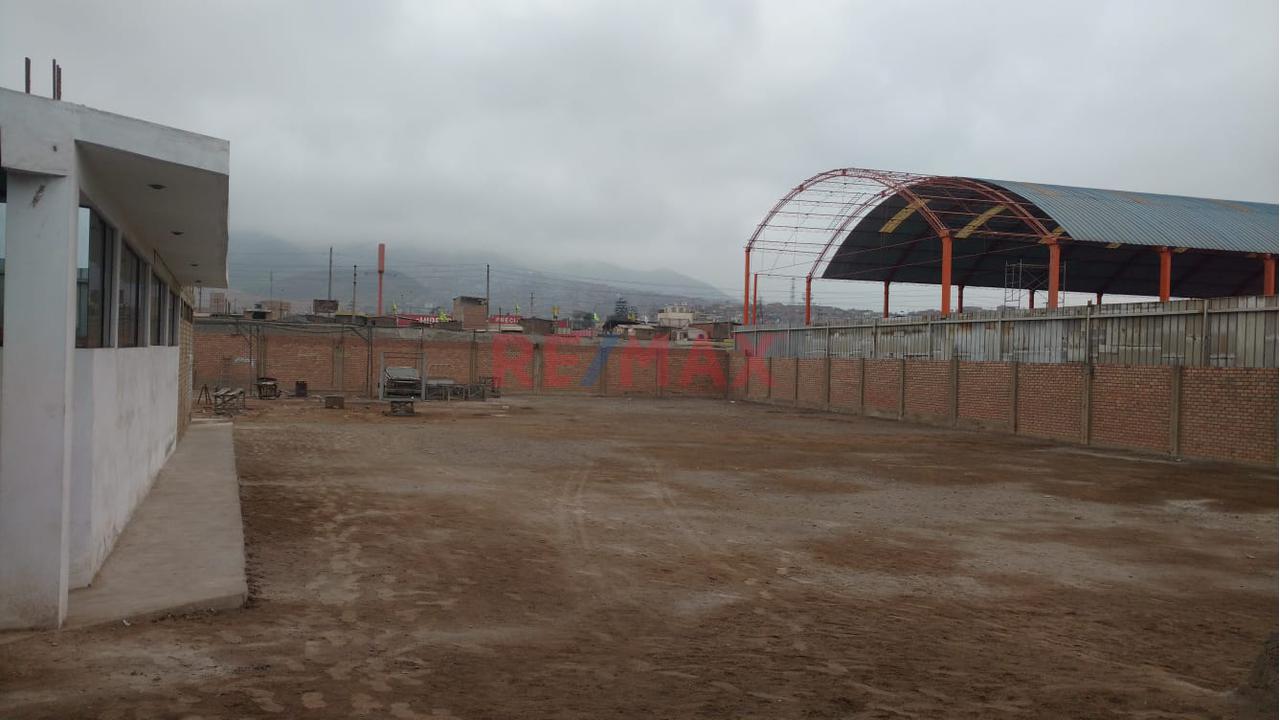 Local Industrial 3267 M2 Puente Piedra (Urb. Leoncio Prado Oeste) - 7