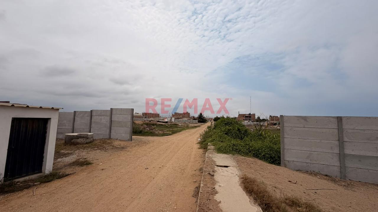 Terreno En Venta Carretera Pimentel — foto 4