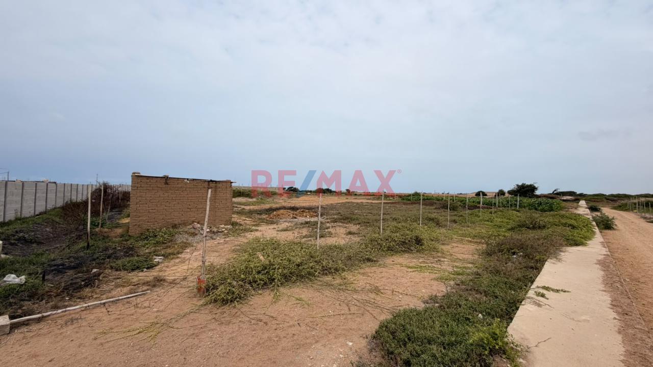 Terreno En Venta Carretera Pimentel — foto 3