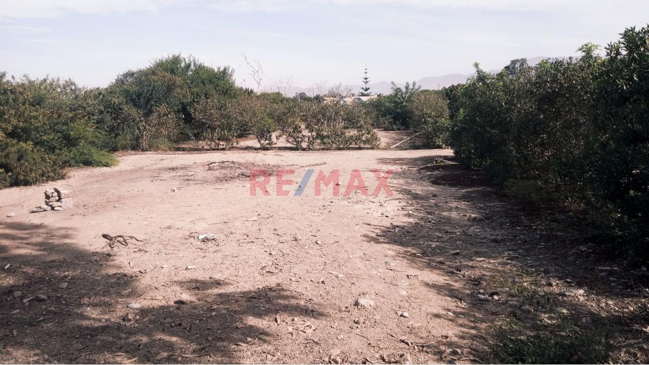 Se Vente Terreno Con Excelente Ubicacion En Condominio Los Damascos - 7