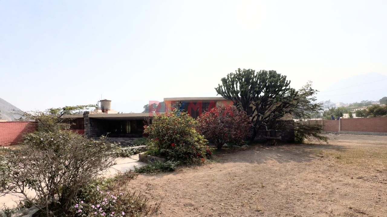 Se Vende  Casa En La Cantuta  Como Terreno Para Inversion Inmobiliaria — foto 3