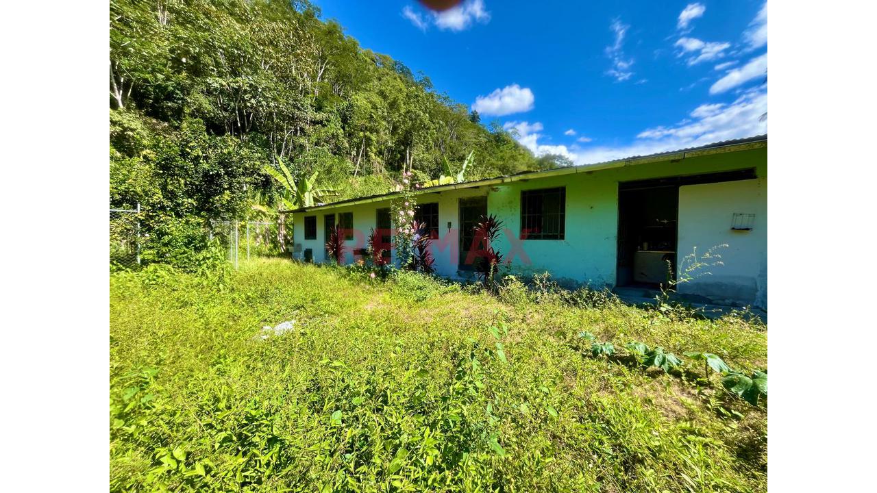 Pedregal - San Ramón❗️ 🚨 ¡Haz Una Inversión Inteligente En Una De Las Zonas De Mayor Comercio Y Visibilidad En San Ramón❗️🏡📈 - 2