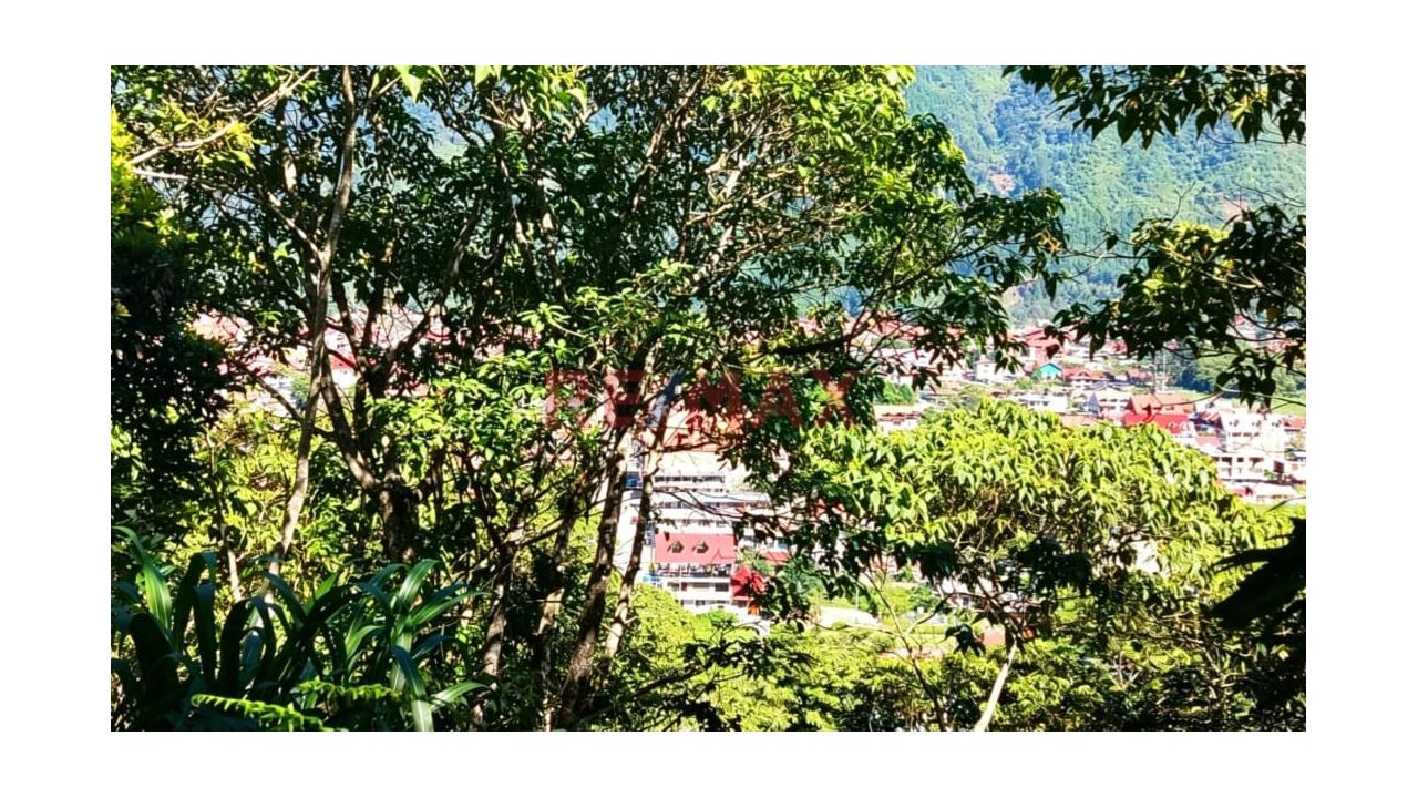 Oportunidad De Inversión En Oxapampa! 11 Terrenos En Venta Con Excelente Plusvalía - 15