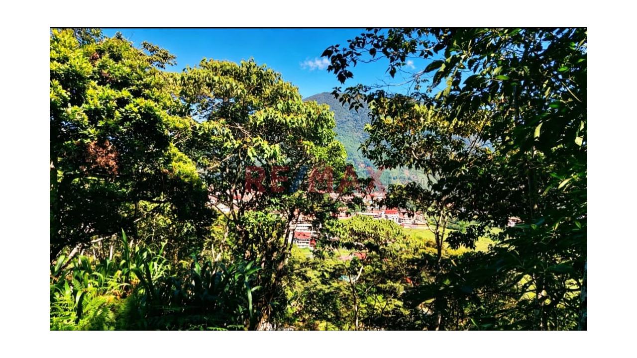 Oportunidad De Inversión En Oxapampa! 11 Terrenos En Venta Con Excelente Plusvalía - 14
