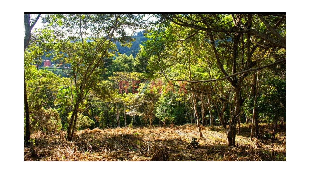 Oportunidad De Inversión En Oxapampa! 11 Terrenos En Venta Con Excelente Plusvalía - 9