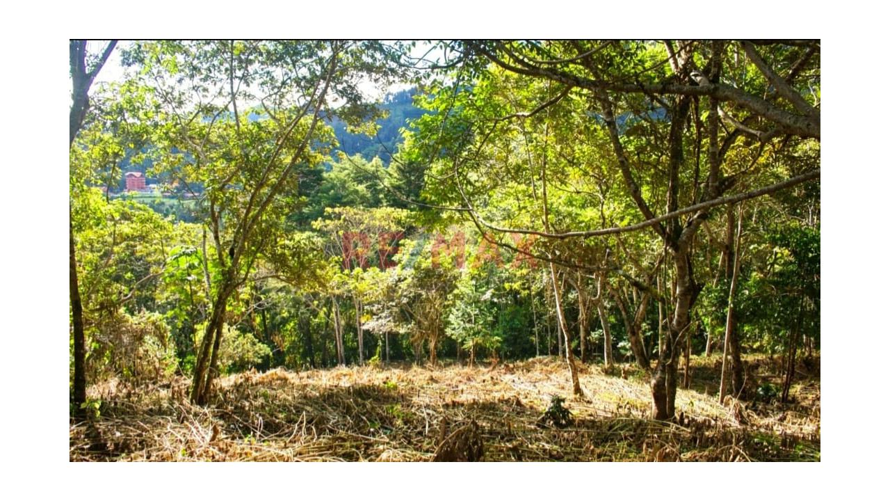 Oportunidad De Inversión En Oxapampa! 11 Terrenos En Venta Con Excelente Plusvalía - 8