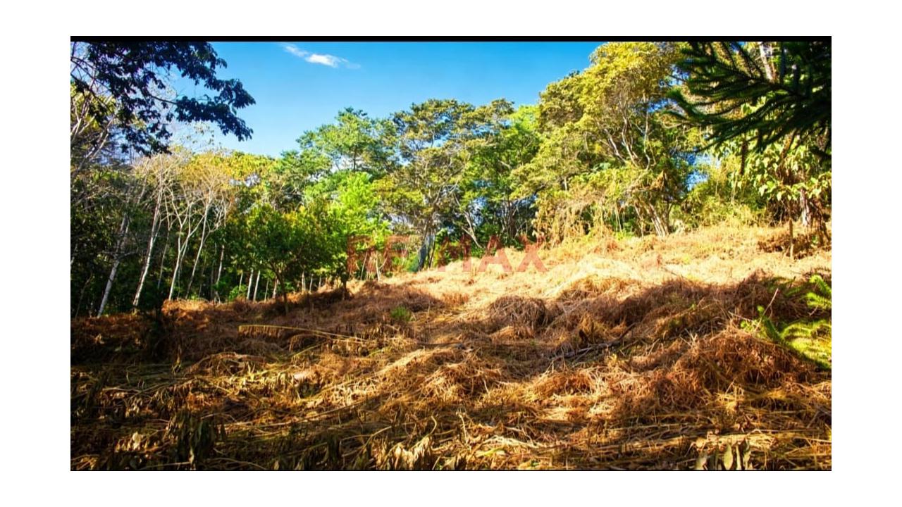 Oportunidad De Inversión En Oxapampa! 11 Terrenos En Venta Con Excelente Plusvalía - 12