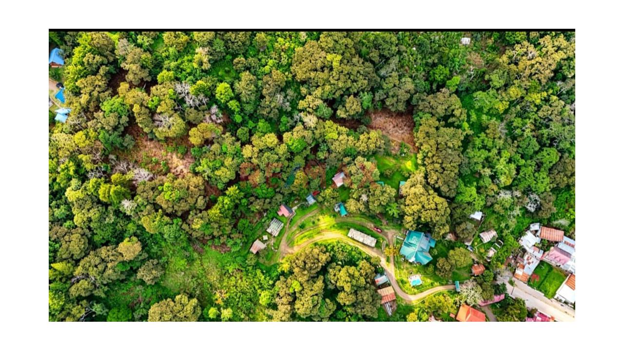 Oportunidad De Inversión En Oxapampa! 11 Terrenos En Venta Con Excelente Plusvalía - 7