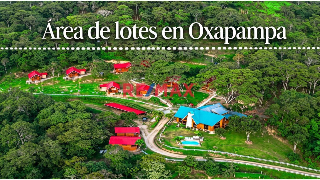 Oportunidad De Inversión En Oxapampa! 11 Terrenos En Venta Con Excelente Plusvalía - 1
