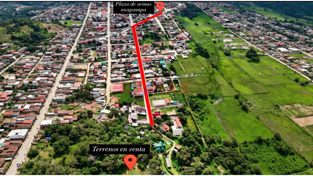 Oportunidad De Inversión En Oxapampa! 11 Terrenos En Venta Con Excelente Plusvalía - 5