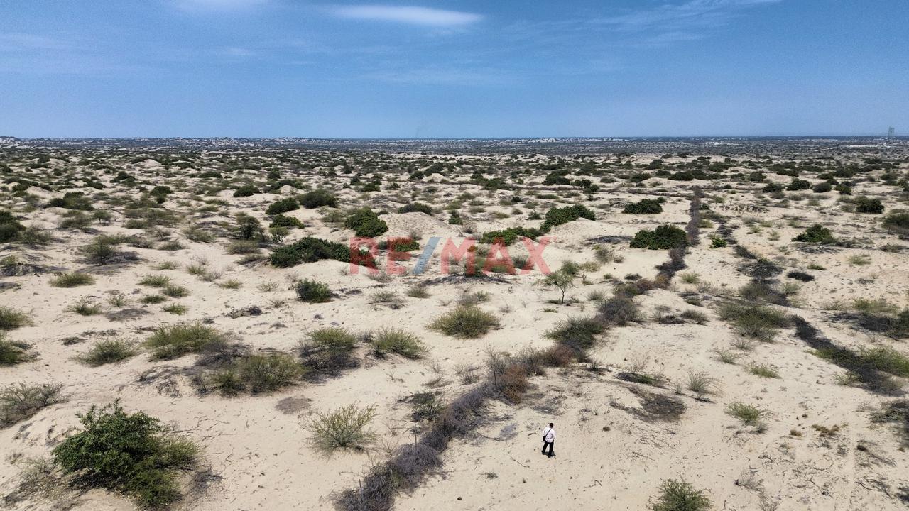 ¡Oportunidad De Inversión! 41.88 Ha A Precio De Ocasión - 2