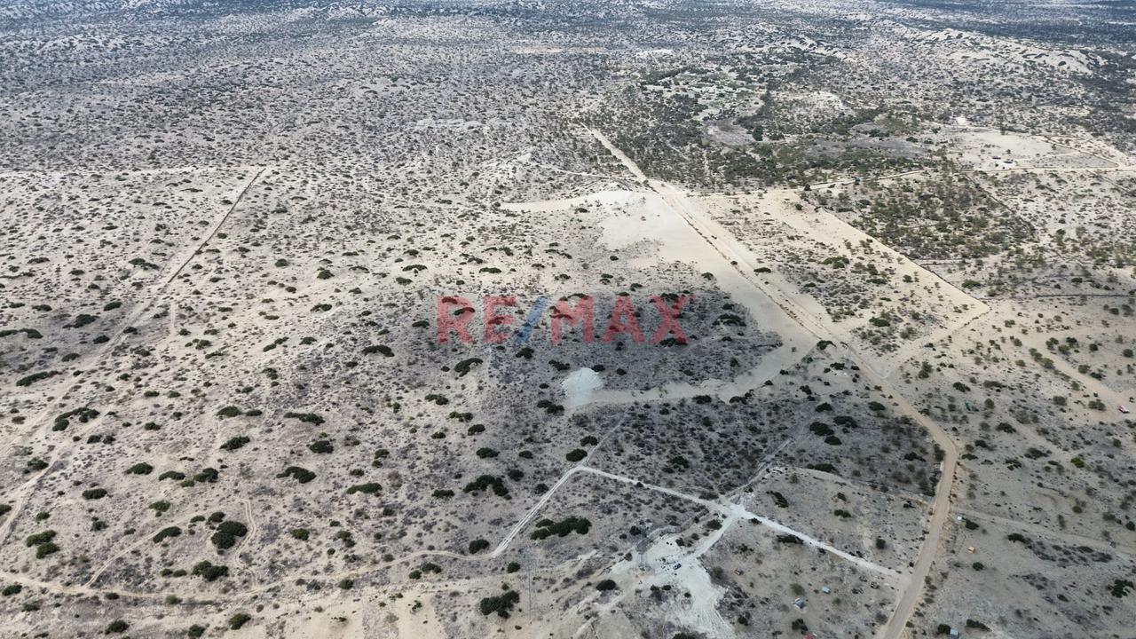 ¡Oportunidad De Inversión! 41.88 Ha A Precio De Ocasión - 3