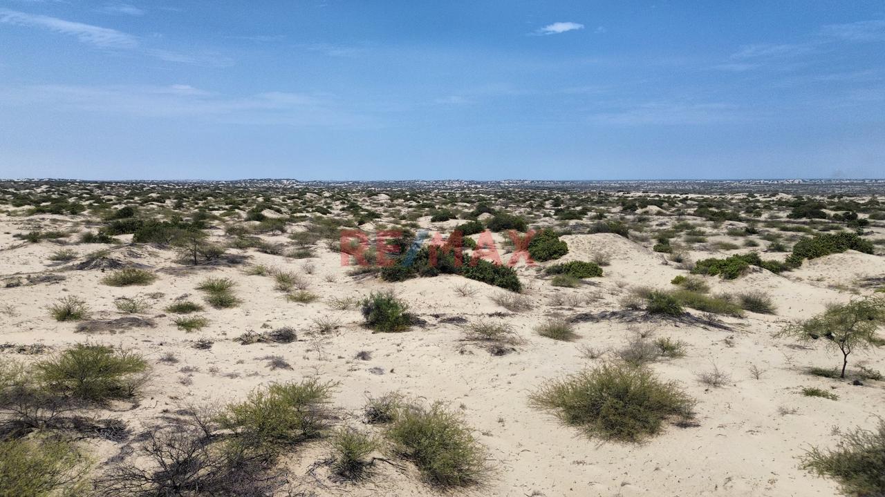 ¡Oportunidad De Inversión! 41.88 Ha A Precio De Ocasión - 6