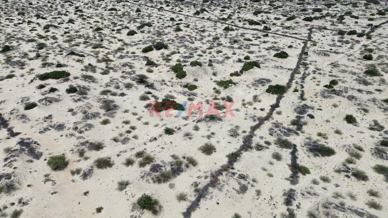¡Oportunidad De Inversión! 41.88 Ha A Precio De Ocasión - 5