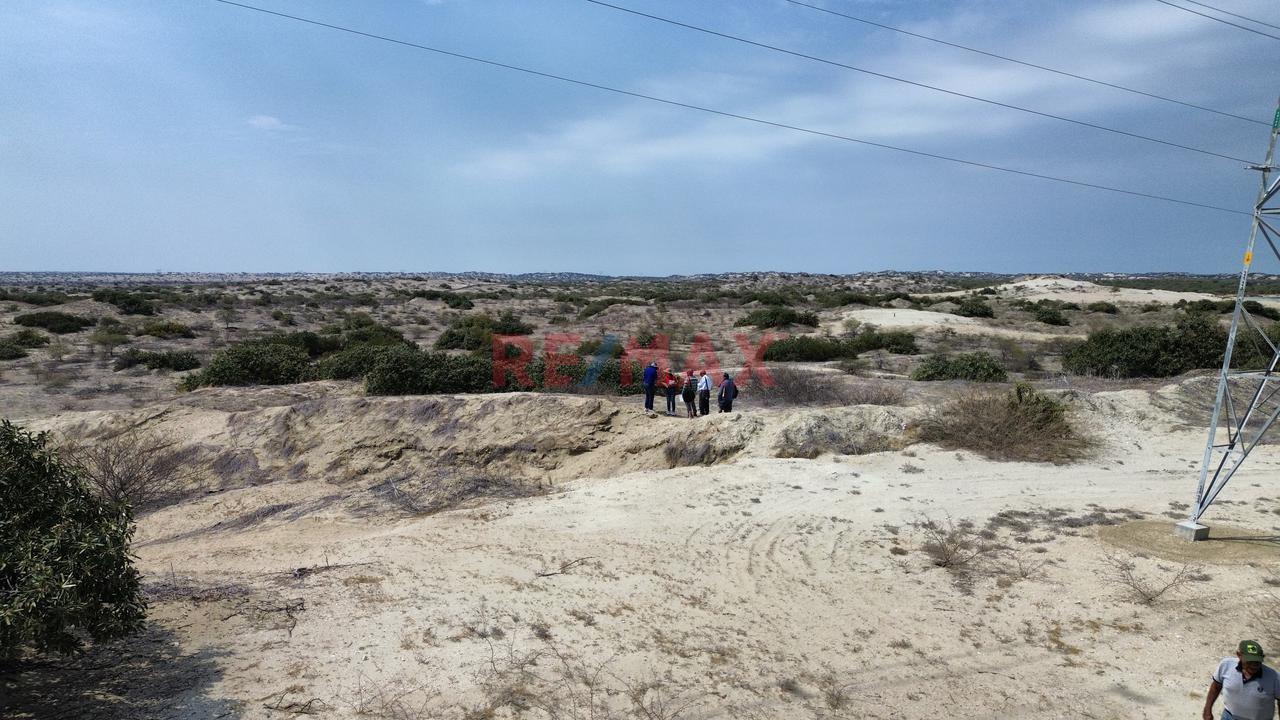 ¡Oportunidad De Inversión! 41.88 Ha A Precio De Ocasión - 8