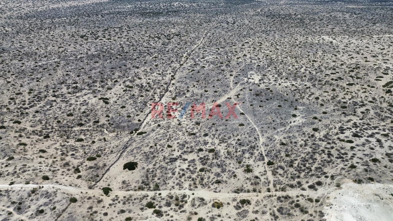¡Oportunidad De Inversión! 41.88 Ha A Precio De Ocasión - 9