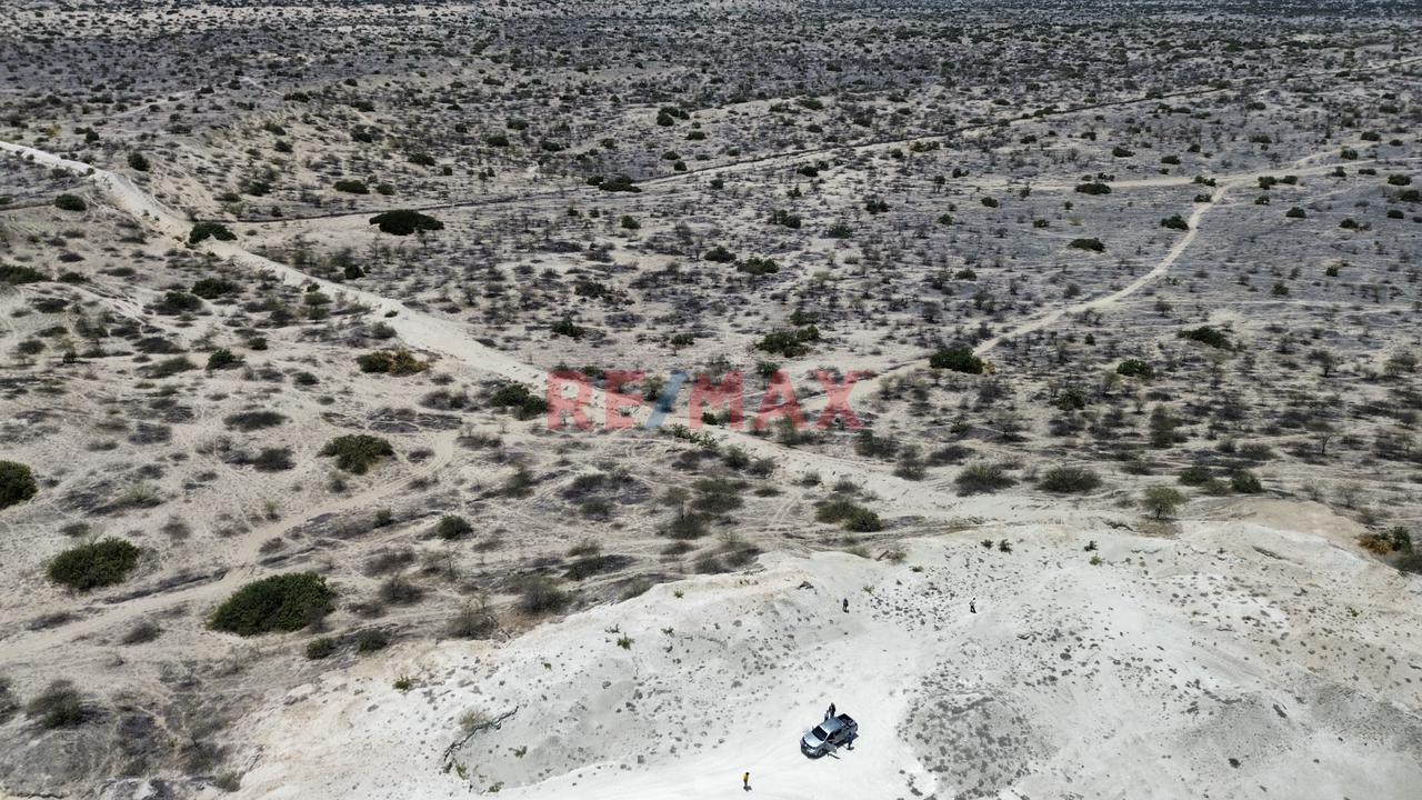 ¡Oportunidad De Inversión! 41.88 Ha A Precio De Ocasión - 10