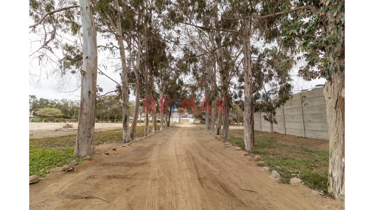 Condominio Los Tilos - Pucusana - 2
