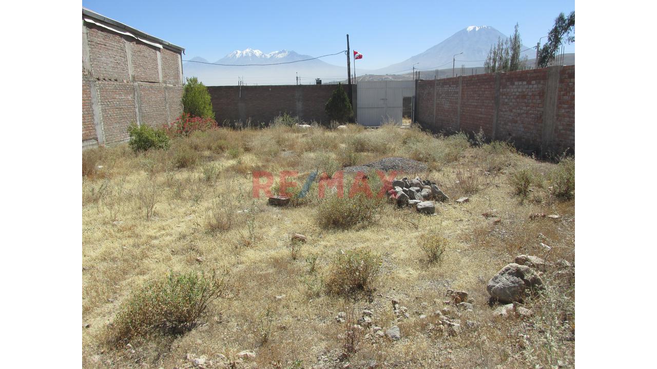 Venta De  Amplio Terreno Urbano En Mollebaya Bien Ubicado Y Cercado Listo Para Vivir — foto 2