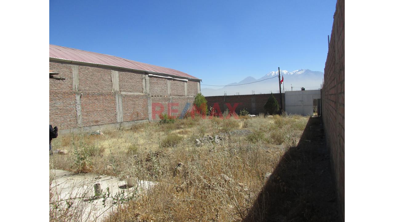 Venta De  Amplio Terreno Urbano En Mollebaya Bien Ubicado Y Cercado Listo Para Vivir — foto 3