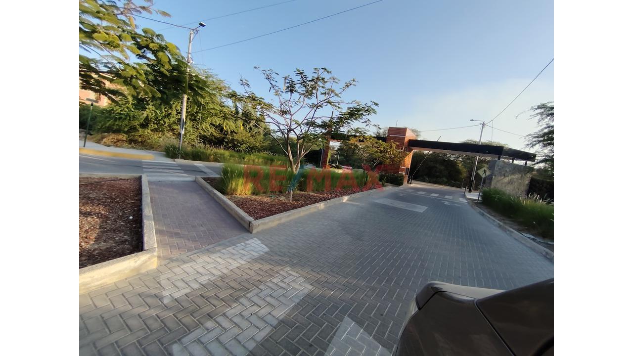 Vendo Terreno  De 184 M2 En Urb Residencial Acacias Miraflores Castilla — foto 5
