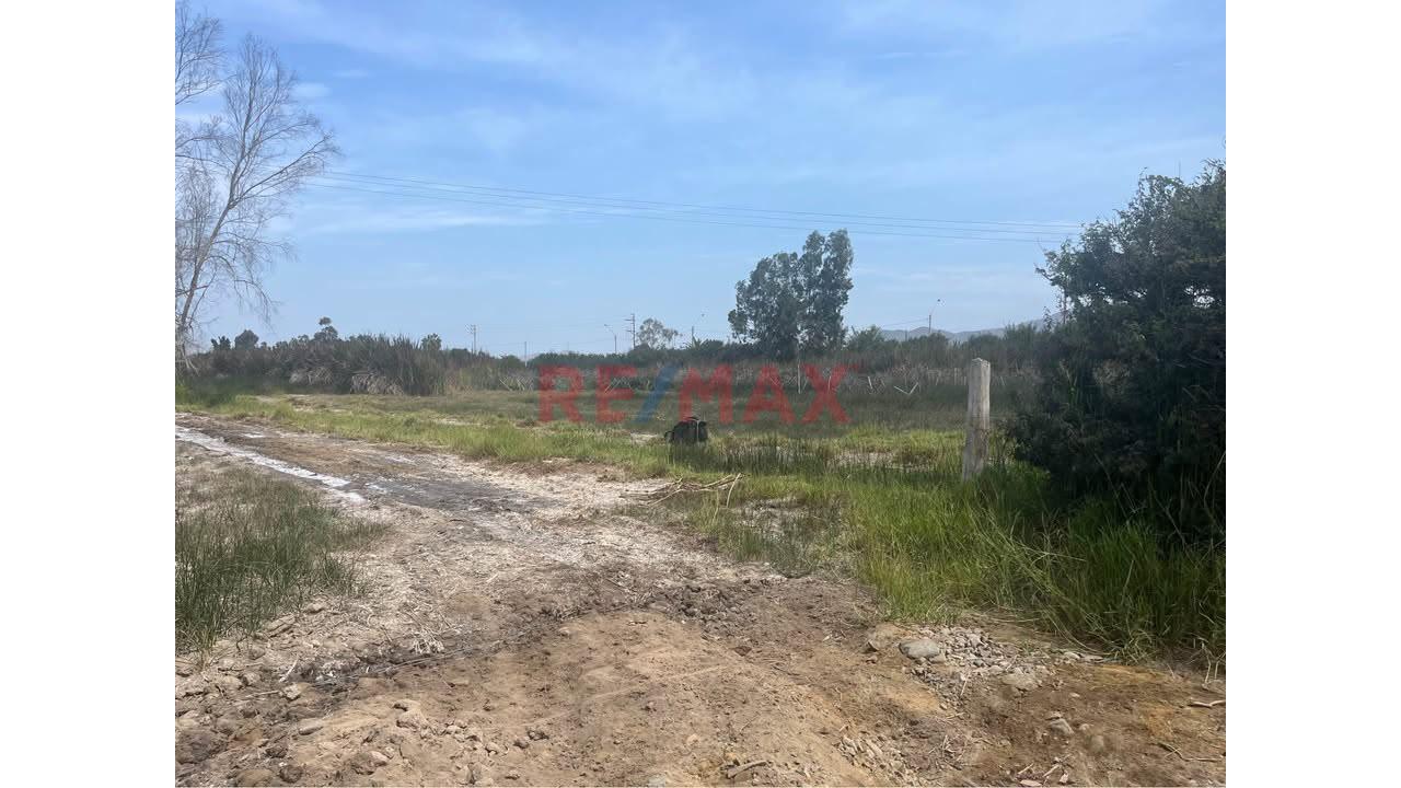 🚀 Venta Terreno 17,541 M2 En Mala 🚀 - 9