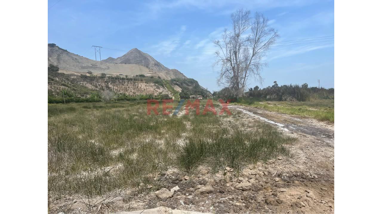 🚀 Venta Terreno 17,541 M2 En Mala 🚀 - 6