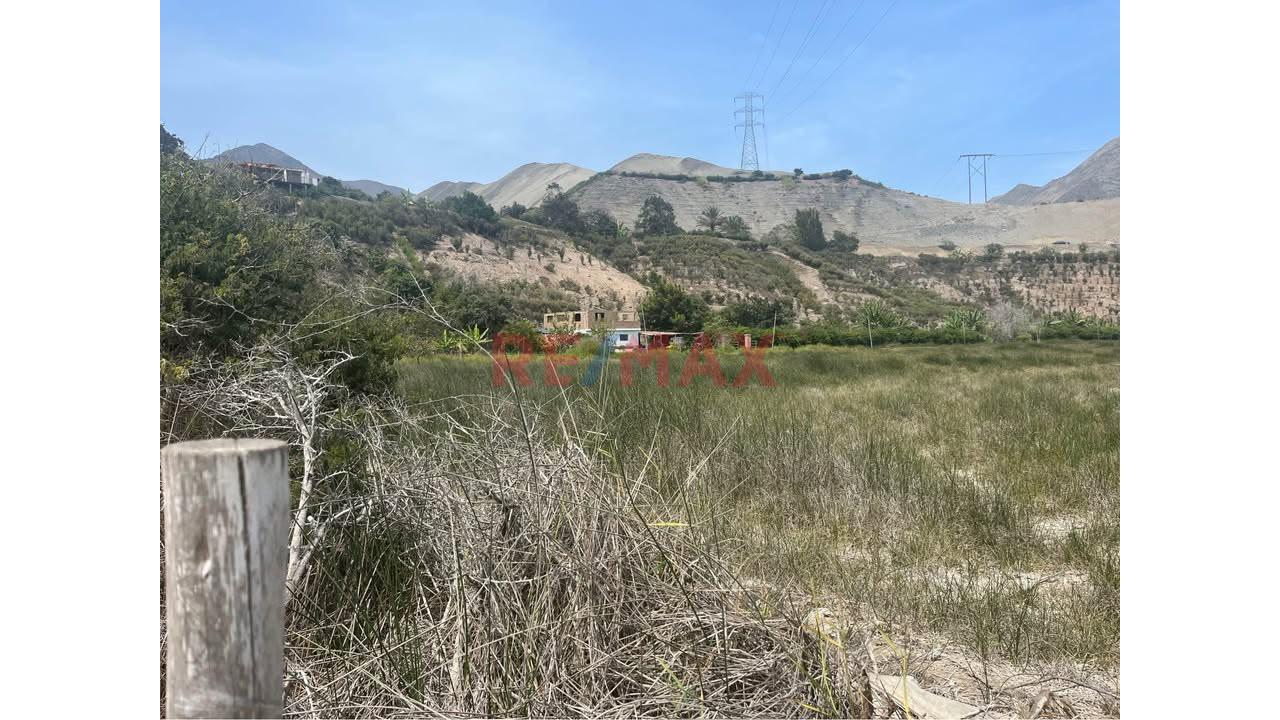 🚀 Venta Terreno 17,541 M2 En Mala 🚀 - 4