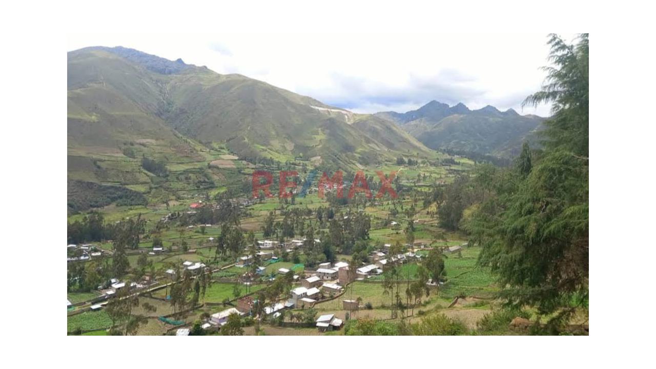 Terreno Agricola En Pasco - Fundo Santa Isabel Y Milagro - 39,600 Hectareas - 5