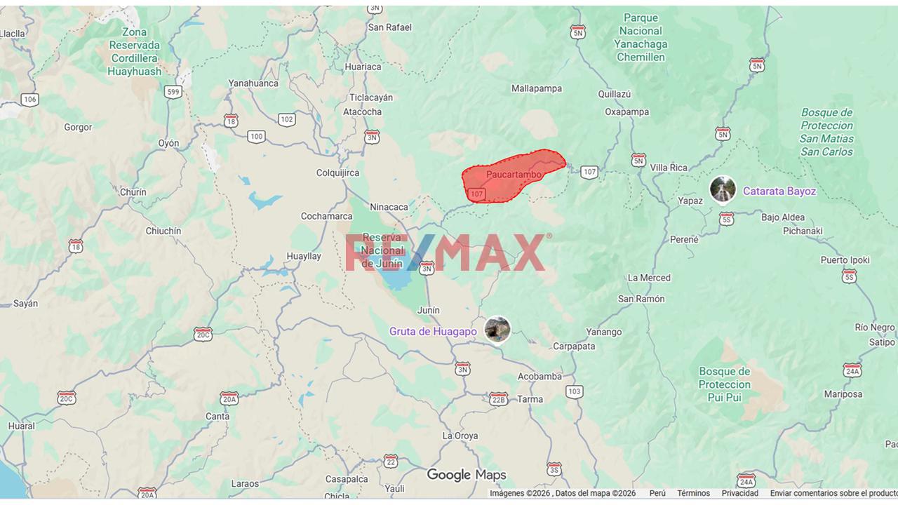 Terreno Agricola En Pasco - Fundo Santa Isabel Y Milagro - 39,600 Hectareas - 1