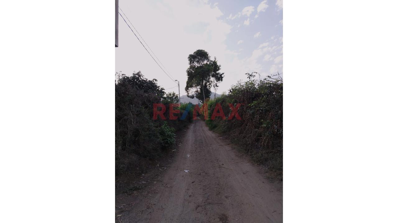 ¡Oportunidad! Terreno De 6,795 M² En Huaral (Granados - Esperanza Baja) | Ideal Casa De Campo O Inversión - 4
