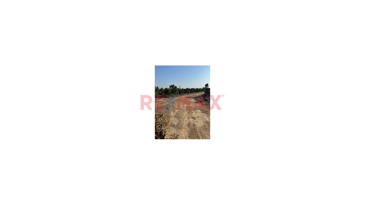 ¡Oportunidad! Terreno De 6,795 M² En Huaral (Granados - Esperanza Baja) | Ideal Casa De Campo O Inversión - 1