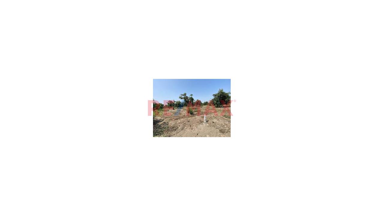 ¡Oportunidad! Terreno De 6,795 M² En Huaral (Granados - Esperanza Baja) | Ideal Casa De Campo O Inversión - 7