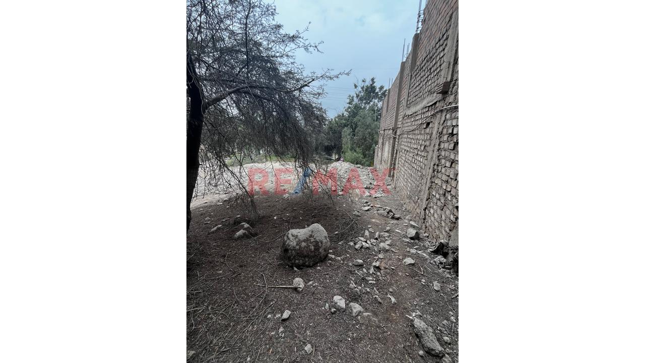 Venta De Terreno En Condominio Los Girasoles De Huampani A 40 Mins De Lima — foto 15
