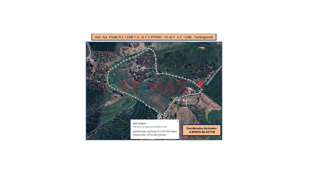 🌱 Terreno Agrícola En Venta – 50% De Acciones Y Derechos | Tambogrande – Piura - 12