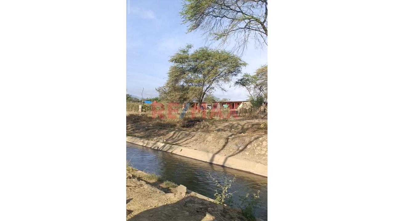 🌱 Terreno Agrícola En Venta – 50% De Acciones Y Derechos | Tambogrande – Piura - 8
