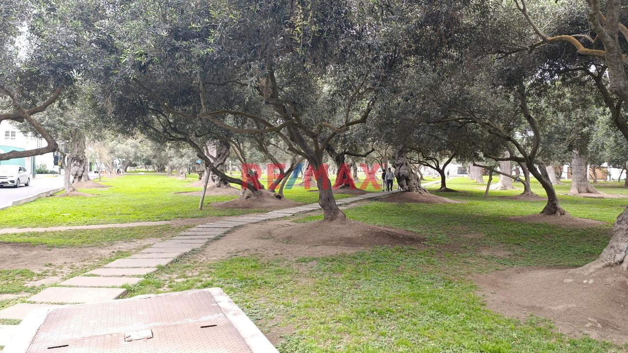 Azotea Para Invernadero De Plantas O Para Artista Plástico En El Hermoso Olivar De San Isidro - 11