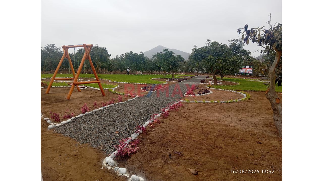 Vive Bien E Invierte En Urbanizacion Albora!! Tu Terreno Exclusivo En Huaral — foto 3